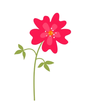 Small Red Flower Illustration