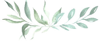 Green Sprig hr