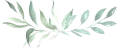 Green-Sprig-hr.webp