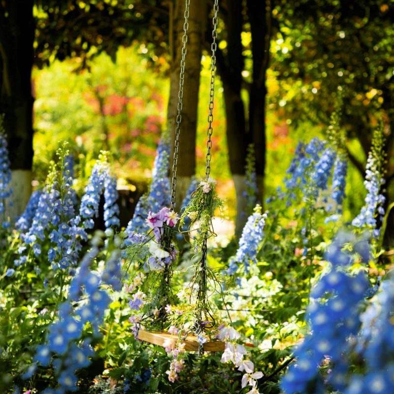 Garden swing among flowers